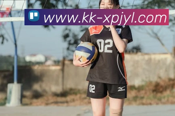 新葡京娱乐平台生态图